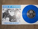 Chain of Strength Blue Vinyl #956 Gorilla Biscuits Infest Judge AFI Rival Mob