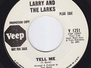 LARRY & THE LARKS Tell Me FUZZ DRENCHED garage 45 mod dancer NORTHERN SOUL HEAR