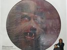 WARREN ZEVON Werewolves Of London 1978 US ORG Promo Only 12