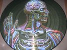 PROMO Picture VINYL LP Tool Lateralus - Deftones Amplifier Porcupine Tree