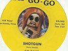 SIR DAVID & HIS KNIGHTS Shotgun GROUP GARAGE PSYCH ROCK 45 PM RECORD NM-