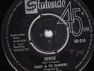 RANDY & RAINBOWS *DENISE/ COME BACK* 1963 STATESIDE