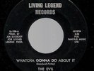 THE EVIL Whatcha Gonna Do About It ORIG 1967 US LIVING LEGEND 45 FLORIDA GARAGE