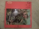 1979 demo copy of the slits  cut LP mint condition punk