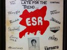 Are We Too Late For The Trend LP Texas KBD Punk Power Pop TX Vomit Pigs Skuds