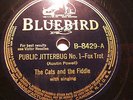 The Cats and The Fiddle Bluebird B-8429-A-B