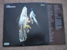 The Courteeners Lp Falcon 2010