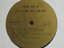 STEVE, SANDY, JUNE & ROSS Golden Hits LP SS-10686 Private Loner Folk Record EXC