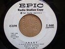 MARTY WILDE ANGRY MY BABY IS GONE (STOP THIS WORLD) PROMO 45 Rocker  Epic