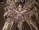 Misfits Descending Angel Vinyl Splatter 12