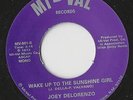 Joey Delorenzo - Wake Up To The Sunshine Girl