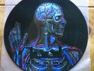 Tool Lateralus Promo Picture Disc Rare Aenima