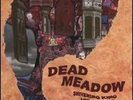 Dead Meadow/Shivering King and Others/double LP vinyl record/STILL SEALED