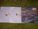 LED ZEPPELIN LIVE CARNIVAL ( 2 ) RECORD SET EXCELLENT PLAYER TOASTED