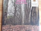 TWINK Think Pink Sunbeam 180g Audiophile vinyl LP MINT SEALED Bonus Tracks & CD
