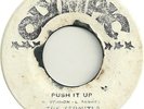 The Termites - Push It Up / The Webber Sisters - What You Gonna Do About It
