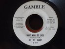DEE DEE SHARP What Kind Of Lady RARE NORTHERN SOUL PROMO 45 Gamble LISTEN T.Bell