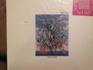 Talk Talk Spirit Of Eden Lp First Us Pressing Mark Hollis