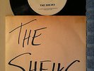 THE SHEIKS - Leopard Skin Pillbox 7