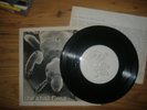 THE ANAL FLEAS-RARE 4-TRACK EP-PSYCHE-RARE DIY-1982 VINYL-P/S