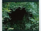 Angels of Light - New Mother LP Swans Black Vinyl