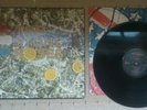 THE STONE ROSES - 12 INCH VINYL LP