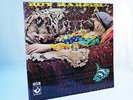 ROY HARPER FLAT BAROQUE AND BESERK LP EMI HARVEST SHVL 766
