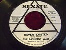 THE BASEMENT WALL 