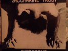SACCHARINE TRUST PAGANICONS SST WITH INSERT 1981
