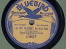 PRE WAR BLUES PAPA CHARLIE'S BOYS  BLUEBIRD 6408  RARE   HEAR 