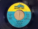 THE AD LIBS northern soul 45 Johnny My Boy/I'm Just A Down Home Girl   Blue Cat