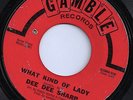 DEE DEE SHARP What Kind of Lady 45 on Gamble NORTHERN SOUL Listen