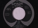 BENNIE HESS: Wild Hog Hop / You Called Me Honey 45 (re) Rockabilly