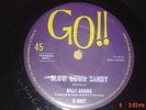 Billy Adams - Slow Down Sandy - 1964 GO 45