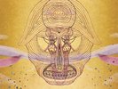 devendra banhart - what will be we be -hq- (LP NEU)