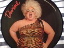 Divine s/t Picture Disc LP Vinyl Vanguard Records Bobby Orlando Roger Waters