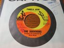 45 RPM l SURF : Survivors