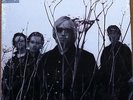 tom petty and the heartbreakers - echo  -  sealed  vinyl