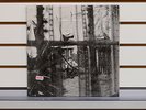 Paul McCartney- Chaos and Creation in the Backyard Vinyl LP (Import) NEW/sealed