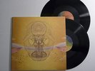 DEVENDRA BANHART What Will We Be Vinyl 2 x LP NEAR MINT