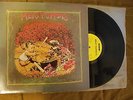 MEAT PUPPETS  Self Titled SST 009  NM 1st Pressing  Black Flag Kirkwood Nirvana
