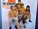 THE SUNRAYS - Andrea - Orig New Zealand Mono VINYL LP 1966 - Surf Rock-NEAR MINT