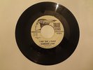 45 RPM Record Barbara Lynn Northern Soul Tribe 8324 I Don't Want a Playboy