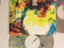 SERATO LYM LOST YOUR MARBLES VINYL PAIR RECORDS BRAND NEW RANE TECHNICS