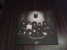 THE HORRORS strange house LP NEAR MINT++ LOOG 2007