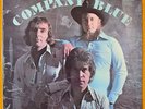 COMPANY BLUE - Self Titled - Headband Fraternity - RARE 1975 OZ BLUES ROCK LP