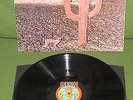 INDIAN SUMMER Orig 1st UK RCA NEON EXCELLENT RARE PSYCH 