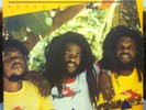 THE ITALS rasta philosophy LP VG+ NHM-7491 Roots Reggae USA 1985 Record