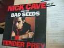 NICK CAVE & BAD SEEDS  TENDER PREY PROMO ISRAEL  ISRAELI LP