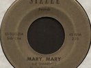 SHANDELLS Mary Mary / Caroline garage 7